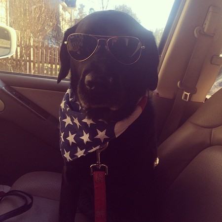 Oliver
