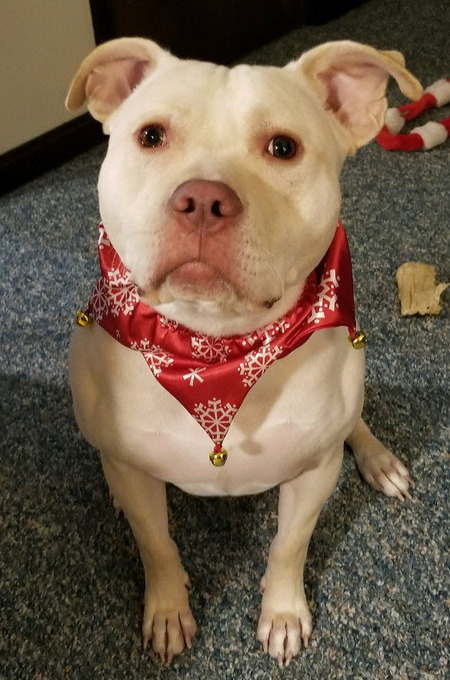 Rhaegar aka "Crazy Ray"