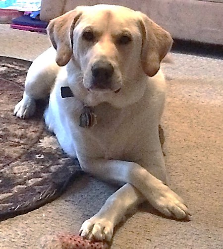 Jake