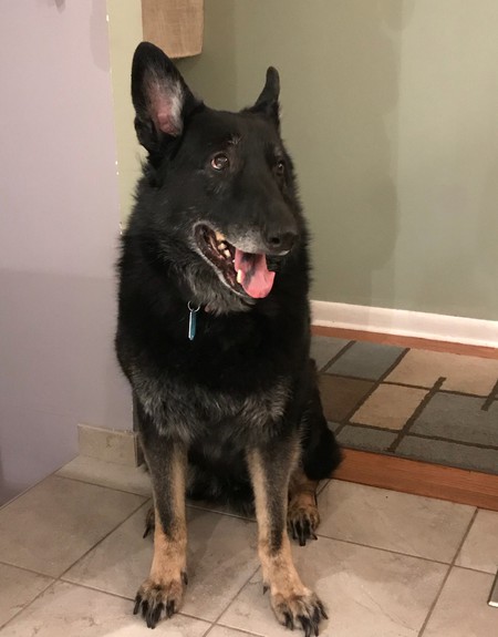 Fenrir