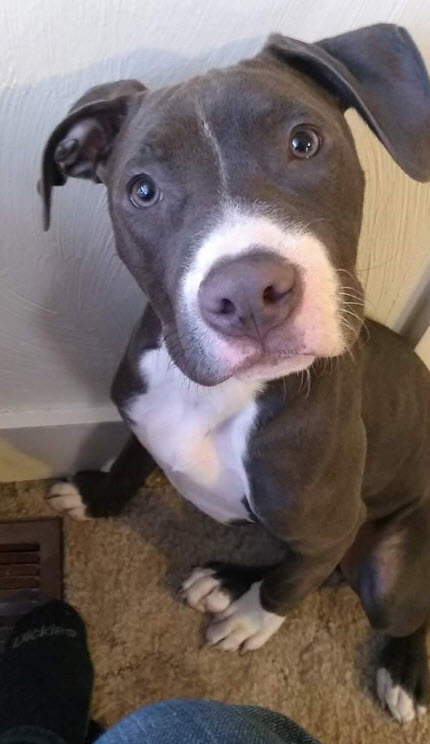 Sadie