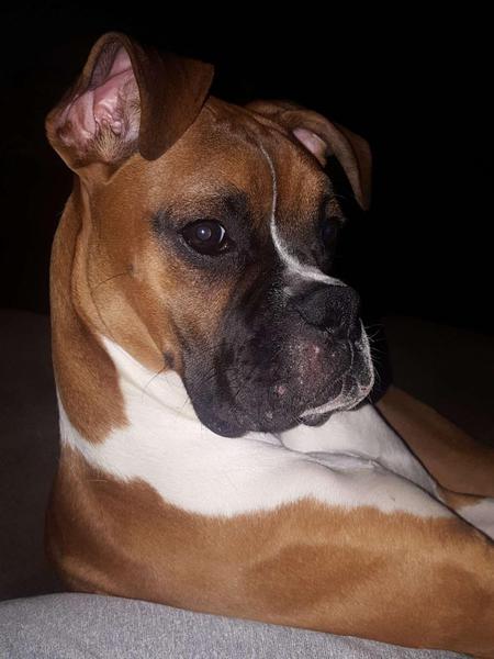 Roxy