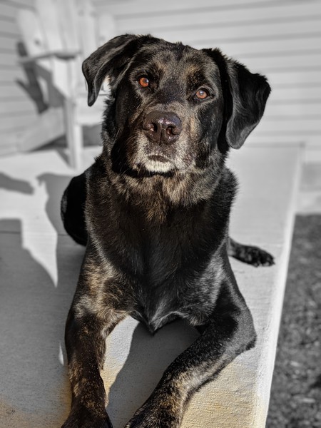 Ranger