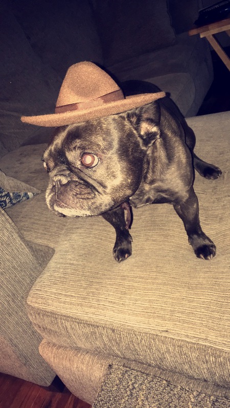 Wicket