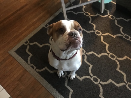 Millie
