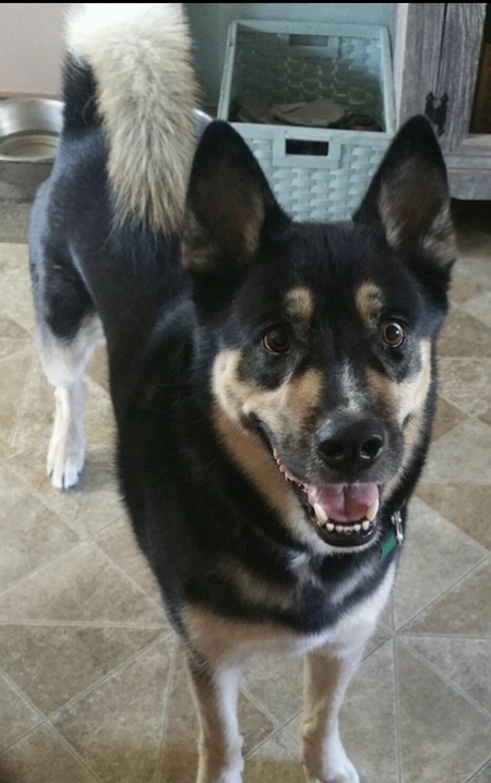 Sammy