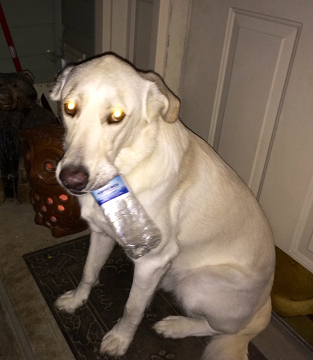 Kaliber 