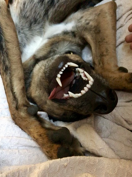 Louisiana Mae