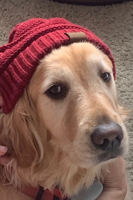 Sophie