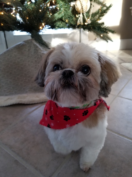 Ruby