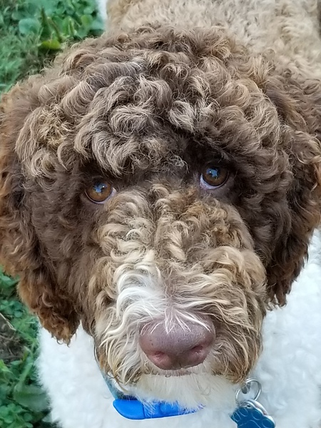 Zoey