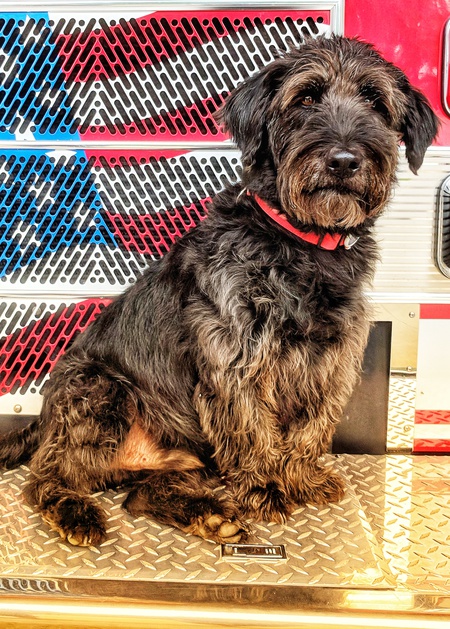 Tucker