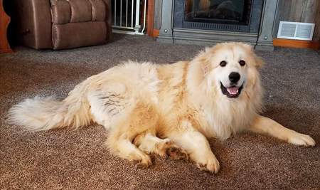 Rosie