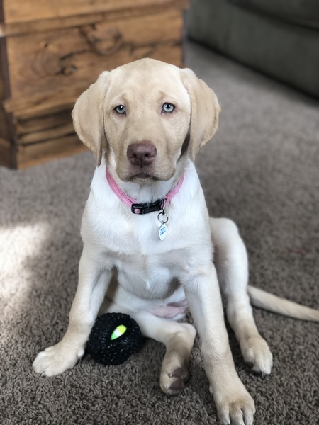 Zoe