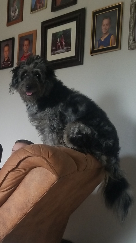 Goliath