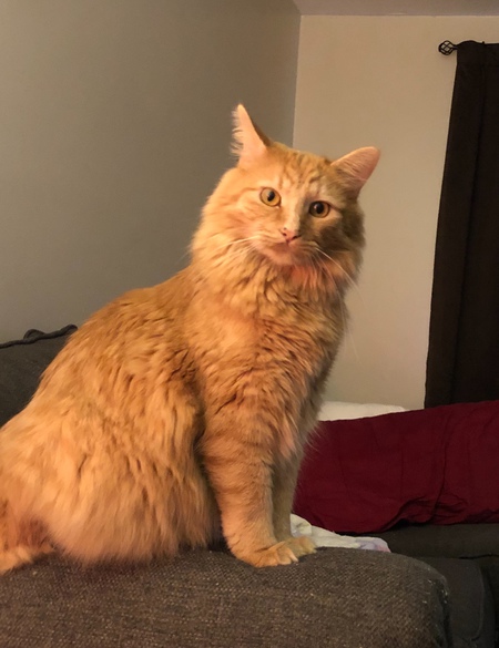 Binx