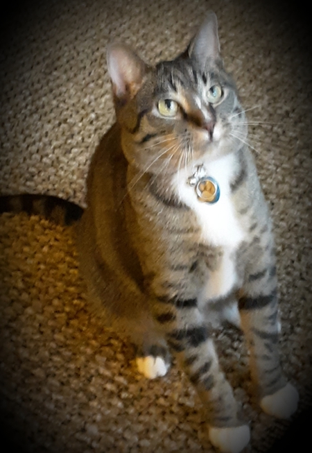 WINSTON