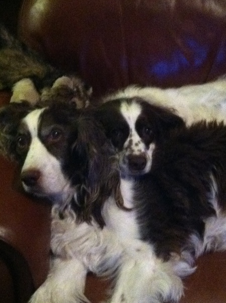 Reagan and Savannah