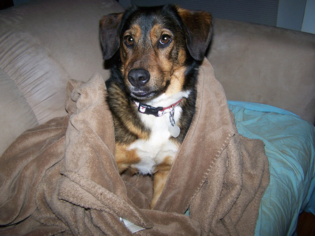 Stumpy (You knew him as "Flint.)