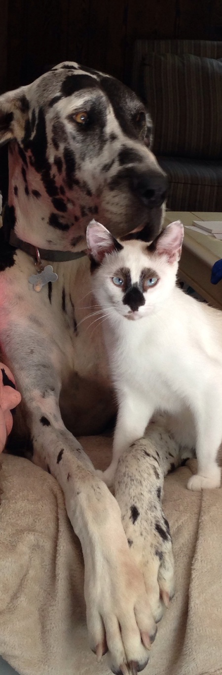 Maggie and Boo