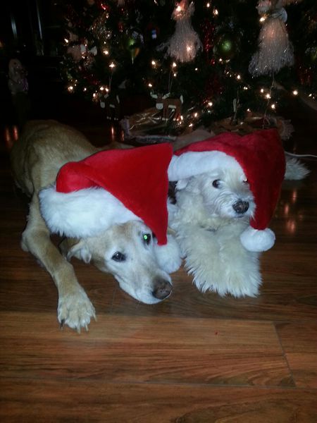 Piper & Teddi