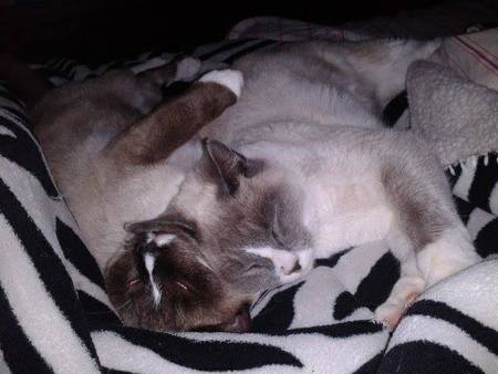 Leonard & Cooper