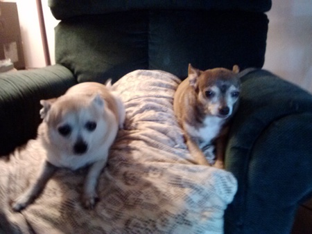 Coco & Chico