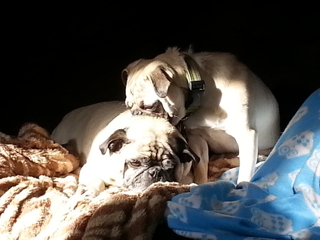 Casey & Oliver