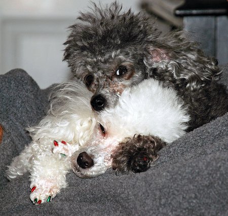 Terror and Tilly