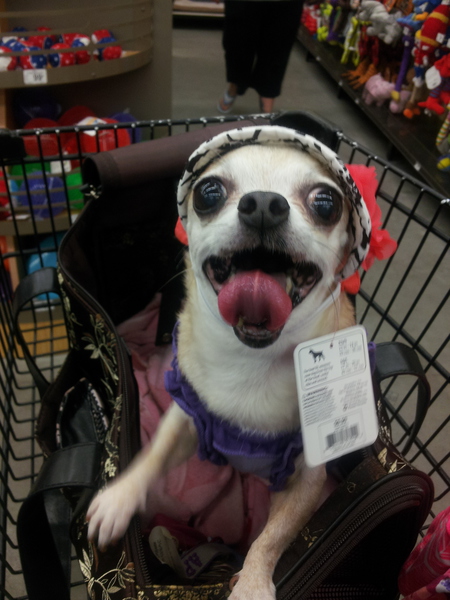 Missy 