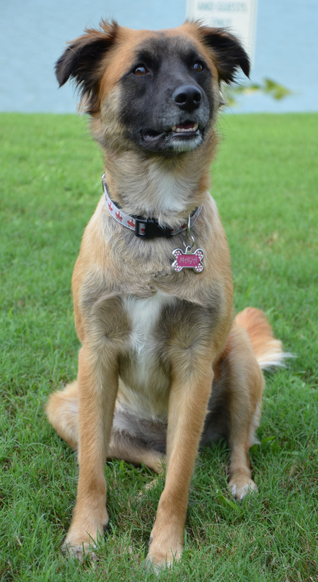 Maya