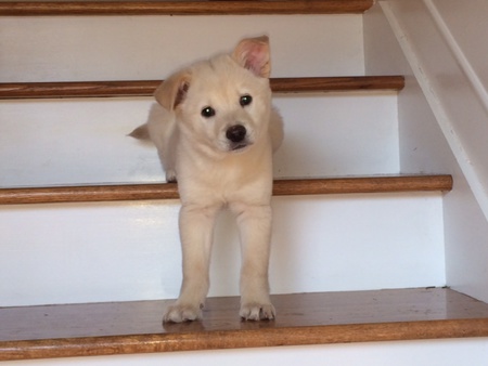 Delilah