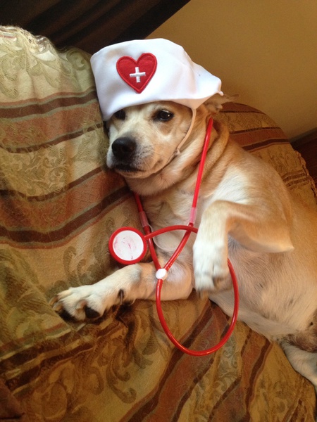 Danya the Love Doctor <3