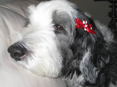 Maggie 