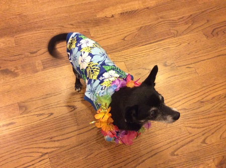 Lola