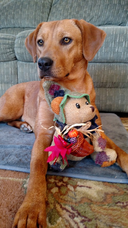 Penny