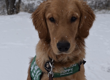 Kona