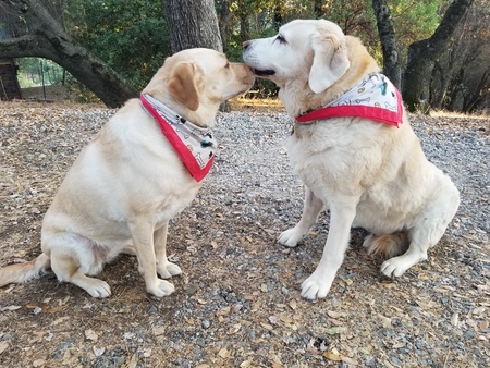 Penny and Bucky 
