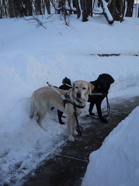 Zoe and Barstow