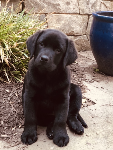 Ellie