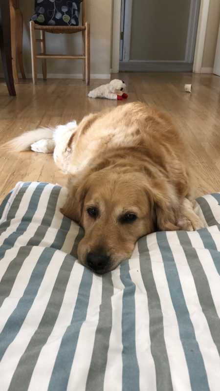 PENNY