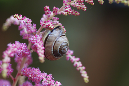 Snails pace afternoon