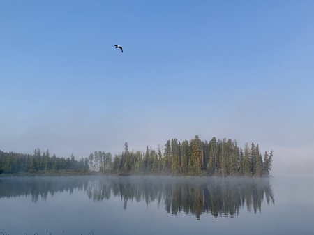 Reflecting over the morning mist