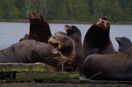 Friends at the pier