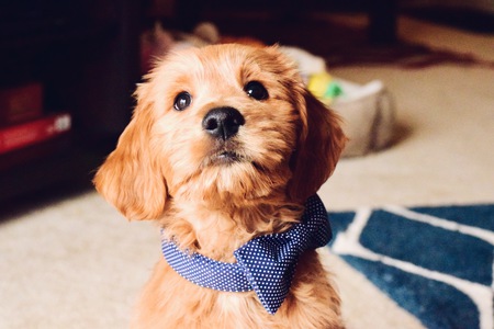 Charlie