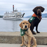 Entry image for Skipper & Gene