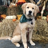 Entry image for Zeke