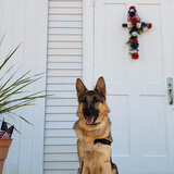Entry image for Becton