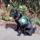 Entry image for Keesha