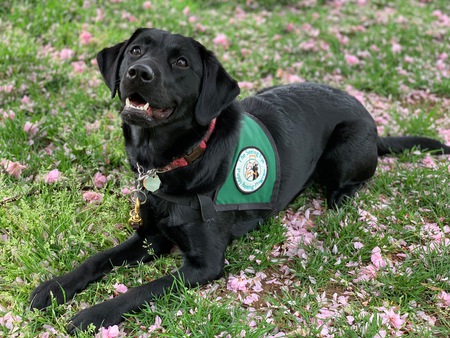 Entry image for Brooke. Clicking this image will show a larger photo